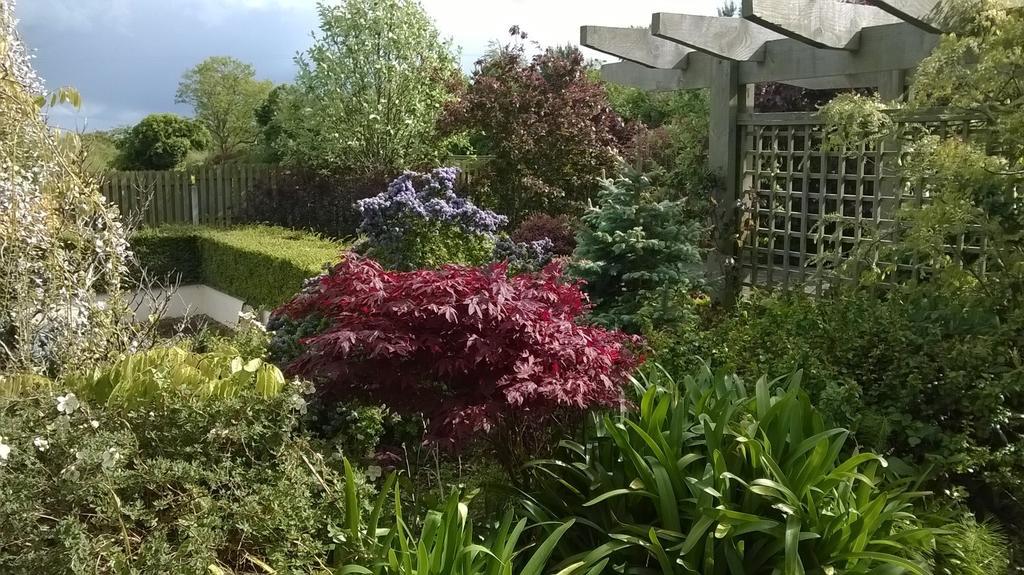 Dunbur Lodge Wicklow Bagian luar foto